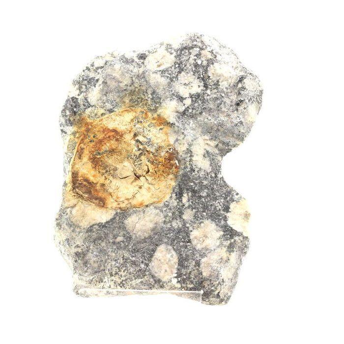 Pierres et Minéraux. Diorite Orbiculaire. 2162.20 ct. Sainte-Lucie-de-Tallano, Corse-du-Sud, France.