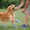 Breathable Anti Slip Dog Shoes Adjustable Pet Paw Protector Dog Mesh Shoes  Walking Outdoor