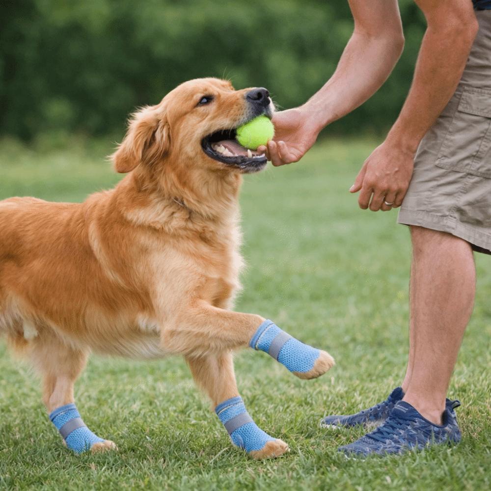 Breathable Anti Slip Dog Shoes Adjustable Pet Paw Protector Dog Mesh Shoes Walking Outdoor