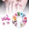 12 Types Colorful Natural Dried Flowers Set Real Dry Flowers Nail Decoration Manicure Arts