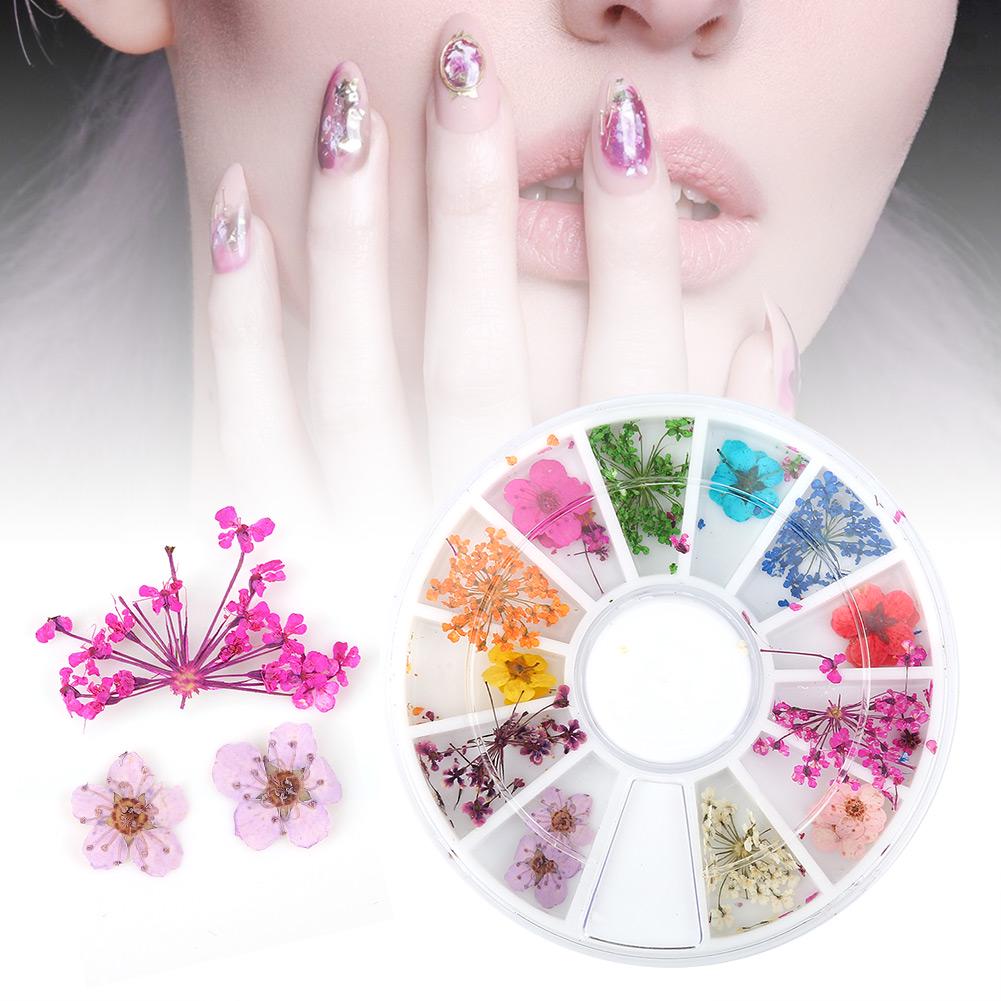 12 Types Colorful Natural Dried Flowers Set Real Dry Flowers Nail Decoration Manicure Arts