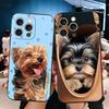 Yorkshire Terrier Dog Soft Phone Case for iPhone 16 16E 17 Air 15 Pro Max 14 Plus 13 Mini 11 12 7 Black Cover Back Shell
