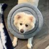 Waterproof Recovery Collar for Cats & Dogs: Anti-Licking Neck Cone, Enlarged & Deepened for Large Pets.