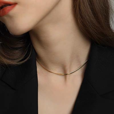 INS Koude Stijl Speciale Interesse Licht Luxe Platte Slangenbot Dunne Ketting S925 Sterling Zilveren Ketting Sleutelbeenketting Damesketting
