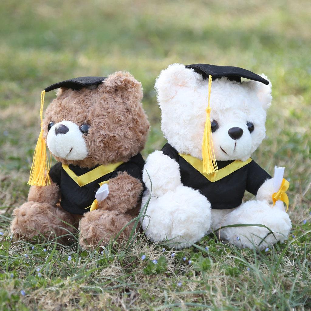 Graduation Teddy Bear Plush Toy With Pp Cotton Filling For Birthday Gift Girls
