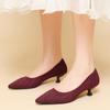 Pointed Toe Shallow Mouth Fabric Flat Bottom Women's Solid Knitted Soft Bottom Large Shoes Size 34-43