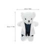 DECHOUS Doctor Bear Doll, Plush Toy Bear, 30cm, Animal Doctor Doll, PP Cotton, Recording Function, Doctor Bear (White)