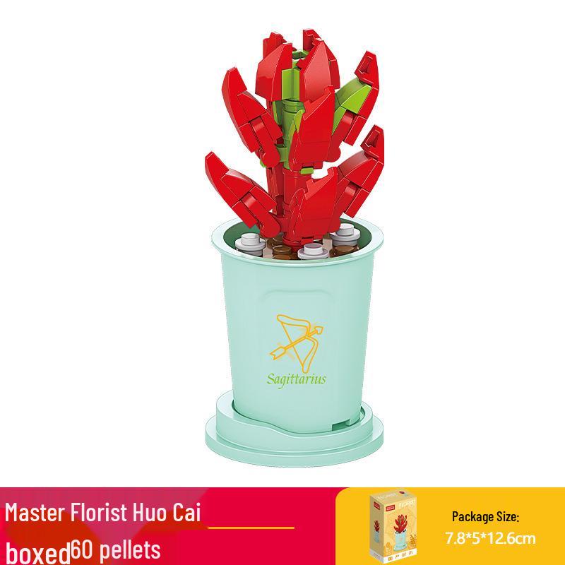 Lele Brothers Zodiac Flower Pot Building Blocks for Kids