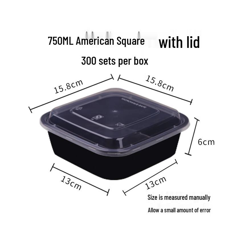 Disposable Plastic Food Storage Container