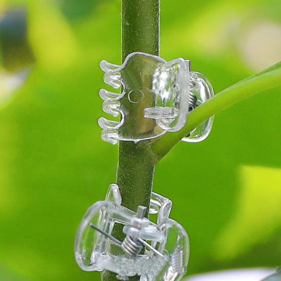 Transparente Pflanzenklammern Kunststoff Phalaenopsis-Klammern Orchideen-Stütz-Klammern für Blumenzweige Kletterpflanzen Ranken Tomaten