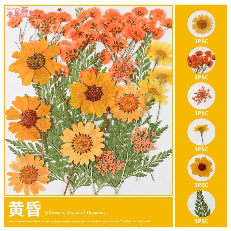 

School Season Kids Dried Flower Transparent Bookmark Handmade DIY Material Package Embossed Plant Leaves Specimen Paste Storage [Dusk] Dried flower bag 16 pieces
