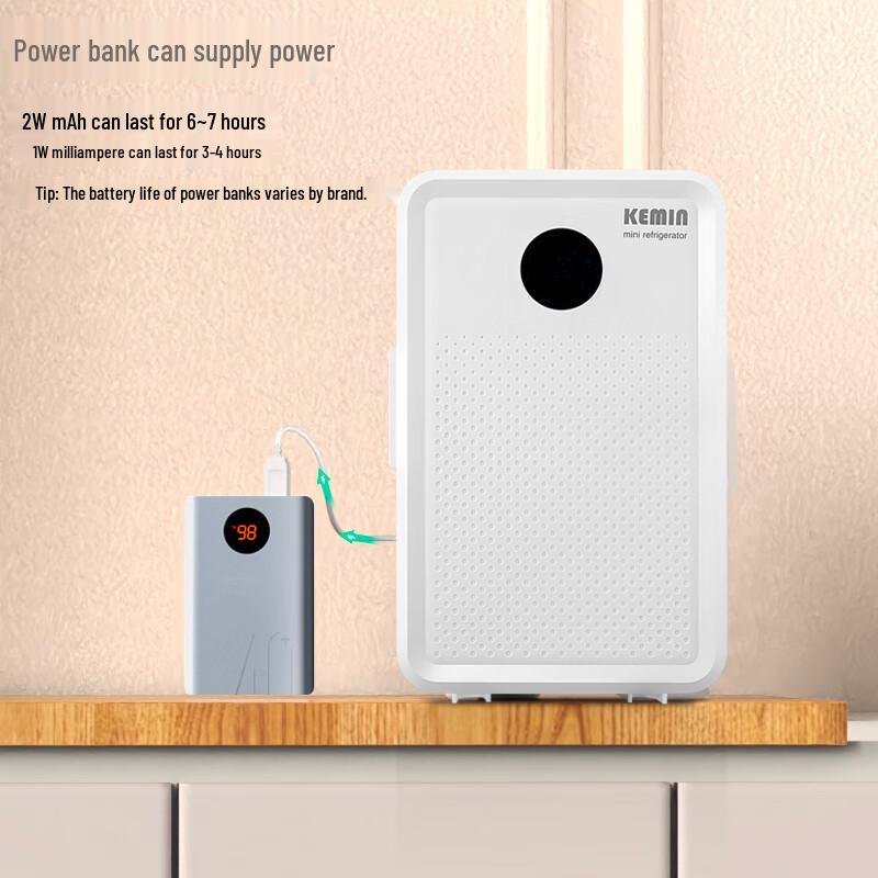Kemin 10L Draagbare Mini Koelkast voor Auto & Huis