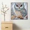 New Arrival 5D DIY Full Circle Diamond Painting "Owl" Embroidery Cross Stitch Home Decor Gift