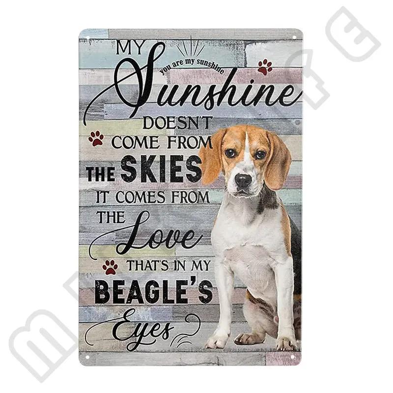 Funny Beagle Dog Metal Tin Sign Plate Retro Art for Bathroom Kitchen Restaurant Dessert Shop Pet Shop Farmhouse Home Room Decor