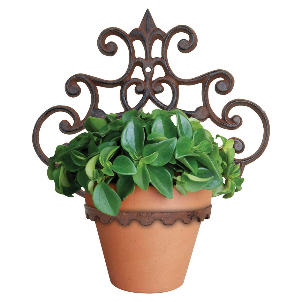 Esschert Design Mehrfarbig Wandblumentopfhalter - Image 2