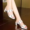 Sandals women's summer wear 2025 new fairy style mid-heel fashion Korean version versatile cool slippers high-heeled women's shoes