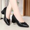 Spring and Autumn Soft-Soled Comfortable Solid Color Versatile Mid-Heel Women's Leather Shoes Chunky Heel Work Shoes Professional Single Shoes