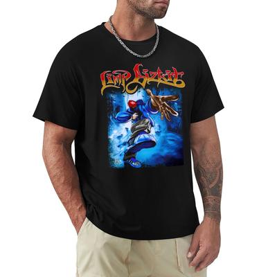 Limpbizkit T-Shirt Oversize-T-Shirts Mann Individuelle T-Shirts Luxus-T-Shirt T-Shirt für Männer