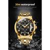 OLEVS New Business and Leisure Watch Multifunction Chronograph with Calendar Quartz Watch Waterproof Luminous Men's Watch