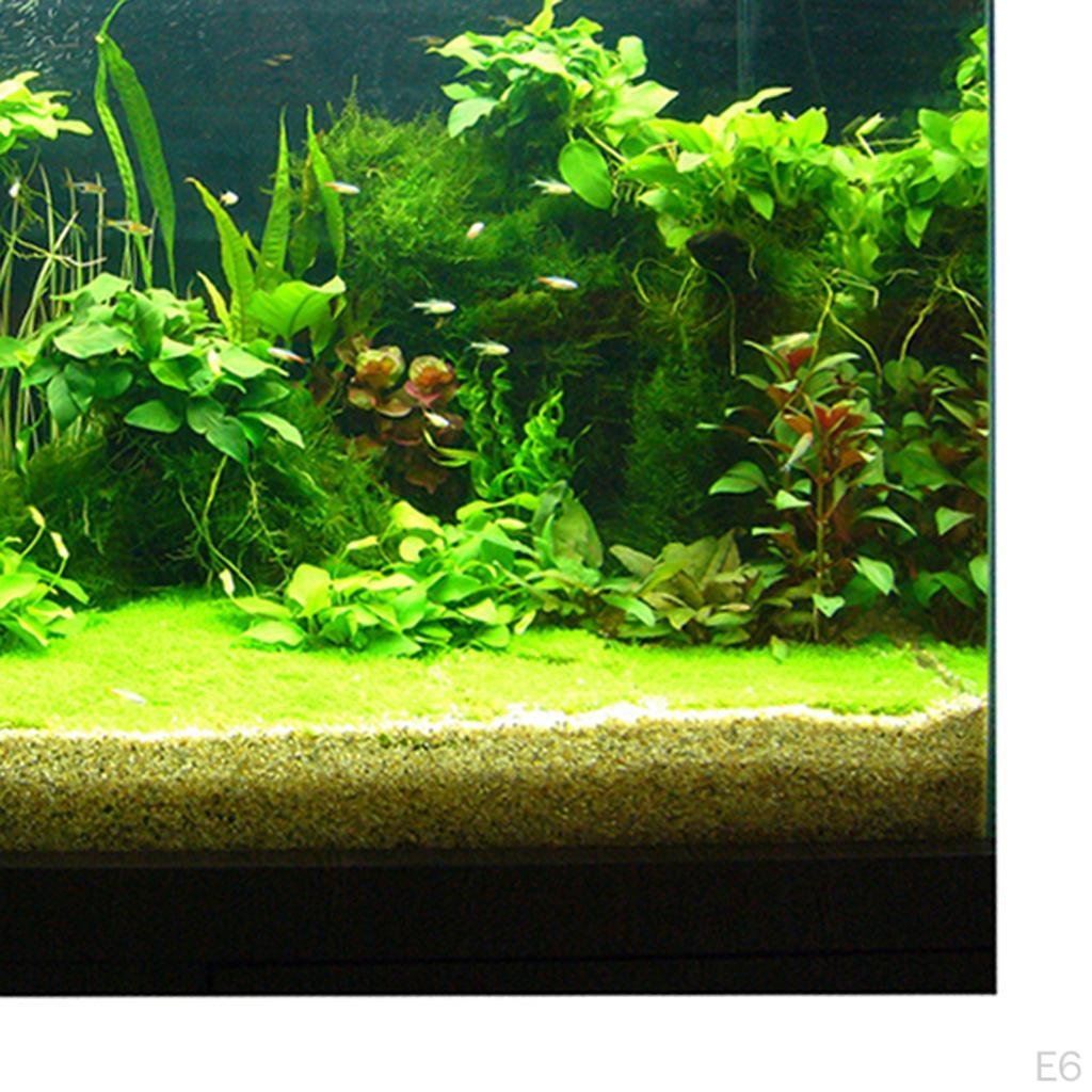 Sfondo Poster Paesaggio Acquario