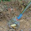 New Stainless Steel Egg Picking Artifact Portable Removable Egg Grabber Adjustable Fruit Picker Farm