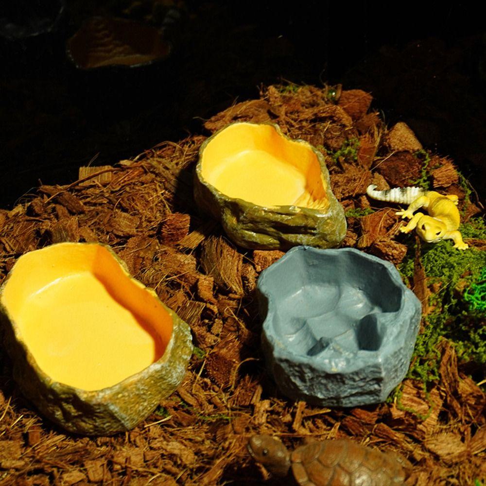 Multi-functional Crawler Water Basin Multicolor Micro Landscaping Basin for Tortoises