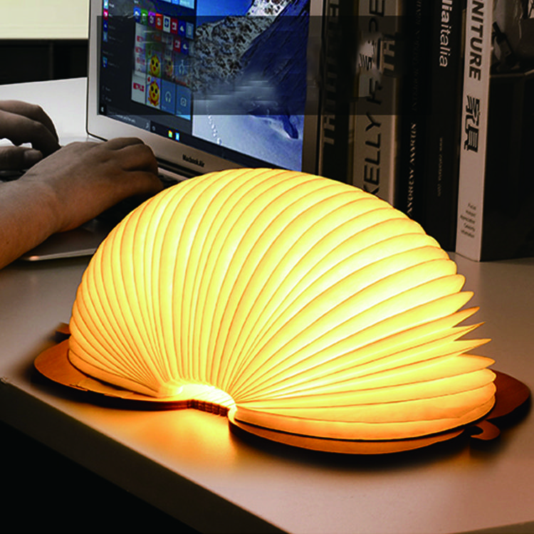 New Product 2021 Creative 3D Kids Projector USB Led Night Light Cartoon Portable Animal Book