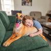 Realistic Plush Pillow Lifelike Stuffed Puppy Dog Greyhound Stuffed Animal  Sleeping Companion