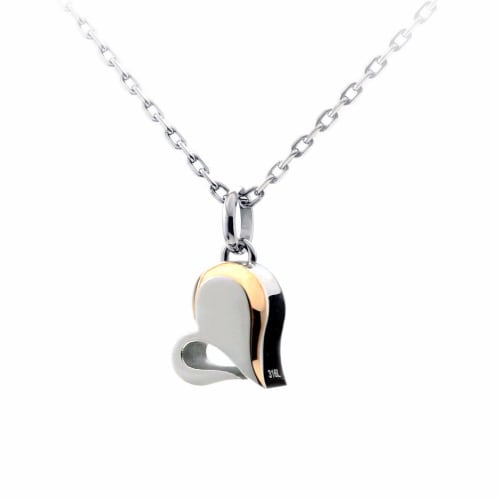Jewel of Memory Cremation Pendant Necklace, Keepsake, Memorial Urn, Stainless Steel 316L, Men's and Women's, Includes Two Chains, Heart Shape