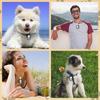10-20Pcs Dog Tag Silicone Silencer Military Dog Tags Silencers ID Tags Rubber Case for Pet Collar Reduce Noise and Protect Tag