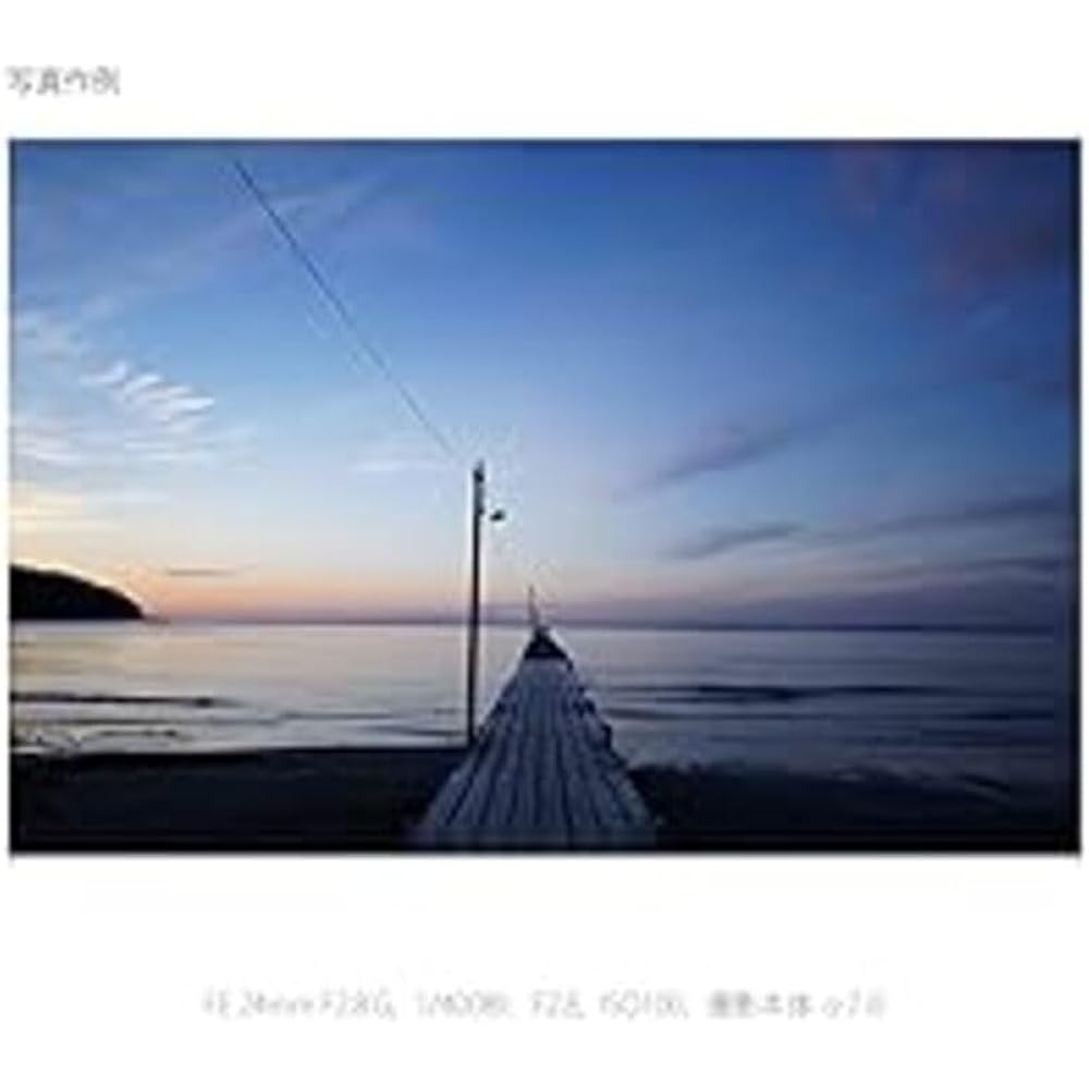 SONY (Sony) Wide Angle Single Focus Lens Full Size FE 24mm F2.8 G Lens Digital Single Lens Alpha ...