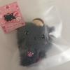 Selling Pocket Kuri