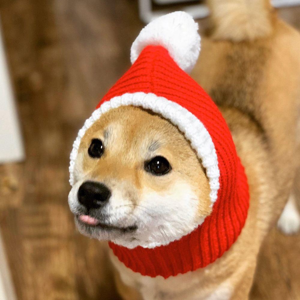 1PC Cute Christmas Dog Hat Noise Protection Knit Dog Hat Warm Winter Cap Soft Stretchy Knit Hat for Pet Dogs Cats Christmas Gift