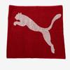 Puma Galleria Puma Team Sports Towel Dry Small Red