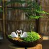 Decorative Duck Bird Figurine Miniature Collection 10Pcs Potted Plant Ornaments Garden Accessories Creative Desk Decors