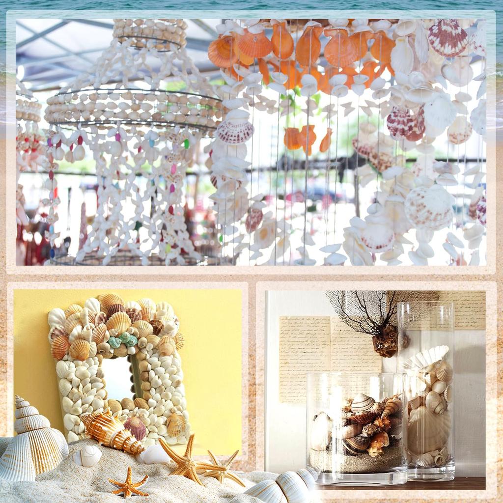 Natürliches Muschel-Schneckenhaus-Set Kinder Bastelmaterial-Packung Haus DIY Dekoration Fotorahmen Dekoration Strandbasteln