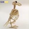 Accesorii de petrecere – Accesorii de Halloween