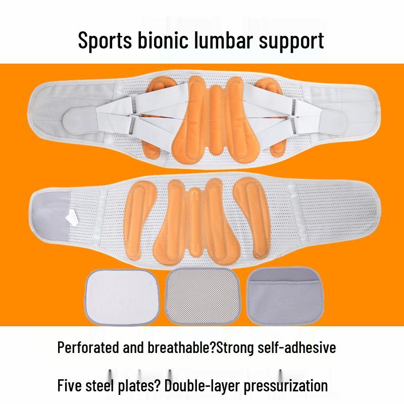 Breathable Waist Belt with Steel Plate for Lower Back Pain Relief and Abdomen Shaping Lumbar Support