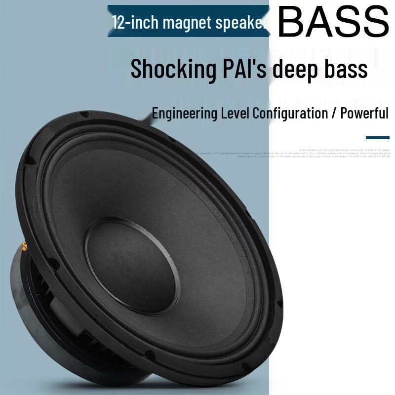 KAXISAIER Professional Full-Range Passive Speaker CN Plug (adapter Included)