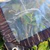 Transparent Rainproof Cloth Cold Proof Windproof Plastic Tarpaulin Multi Functional Protective Cover Suitable for Gardens Terraces Outdoor Adventures