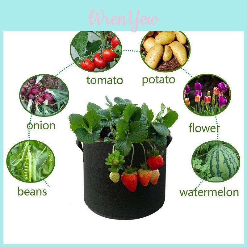 Versatile Fabric Root Pots Smart Plant Grow Pot Bags With Large Capacity For Thriving Plants