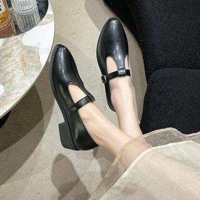 Fashion Retro Black Pumps Shoes Female Spring and Autumn 2024 New Shallow Mary Jane Shoes Thick Low Heel Pointed Toe Slip On Loafers