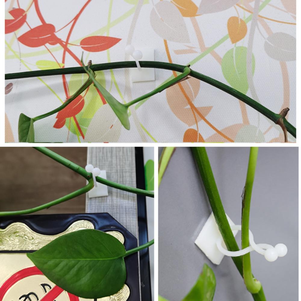 10 /30 /50PCS No Drill Self Adhesive Fixing Clip for Plant Vines Data Cables Holder for Home Office Wire Organization Management