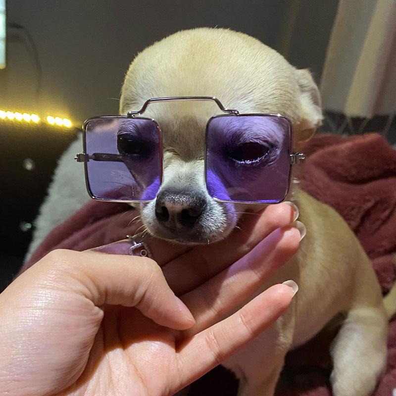 Fashion Dog Photos Props Pet Accessoires Pet Products Cat Eye-Wear Pet Glasses Cat Glasses Cat Sunglasses Pets Party Decor