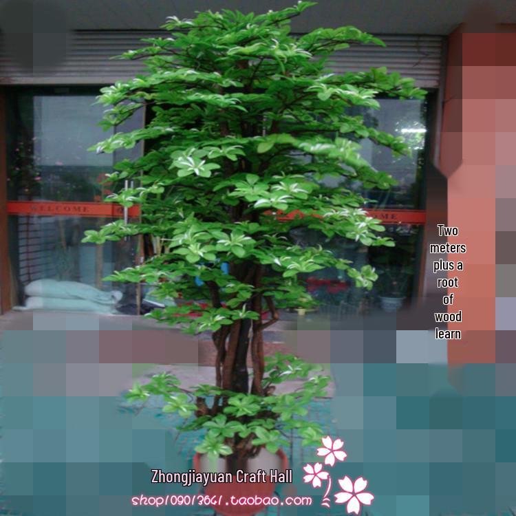 Большое искусственное дерево магнолии, 2 м - Денежное дерево для декора гостиной и отеля