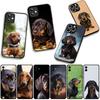 Handyhülle Tier Liebenswert Dackel Hund Hülle für Xiaomi Redmi Note 15 11 9 10 Pro Plus A5 9A 9T 10A 10C 9C NFC 15C 8T Hülle