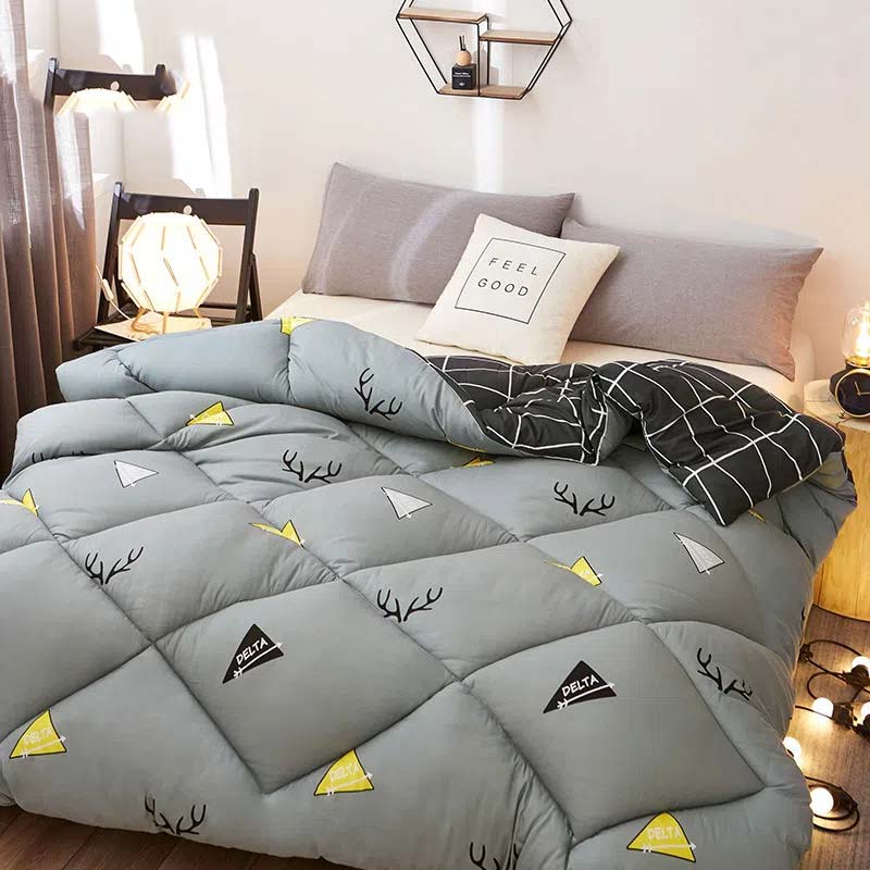 Thickened Quilt with Cotton Wadding Velvet Warm Quilt Core Breathable and Lightweight Single or Double Person Available Bedding Article All Seasons