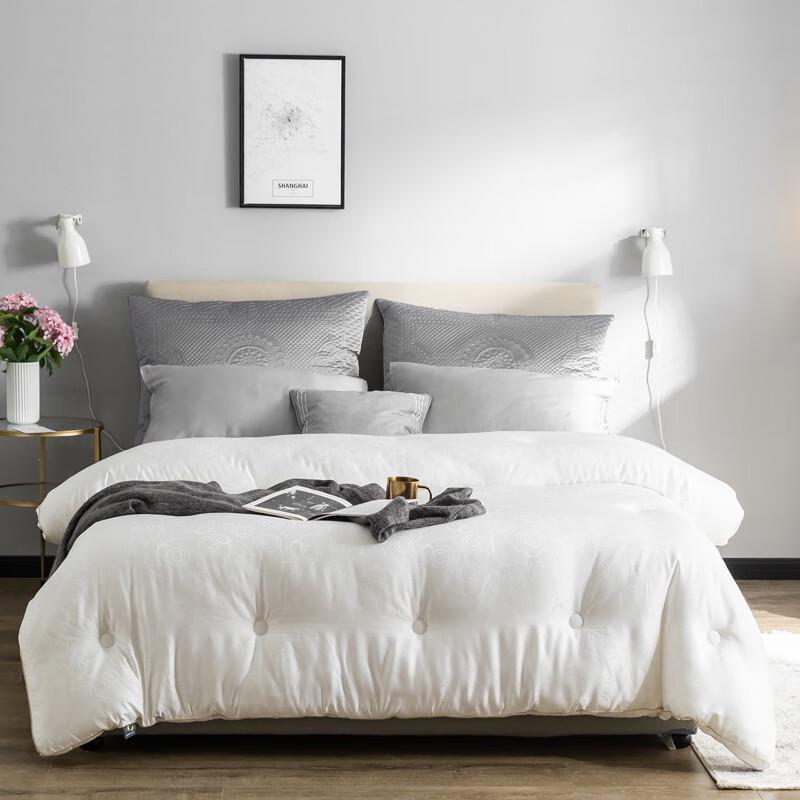 

Premium Cashmere-Protein Blend Winter Quilt