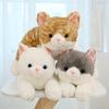 Set Dudu Three-Piece Calico Kitten Plush Toy Collection