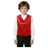 Boys Gothic Medieval Velvet Waistcoat Metallic Trim Lapel Collar Sleeveless Button Irregular Hem for Halloween Stage Theme Party